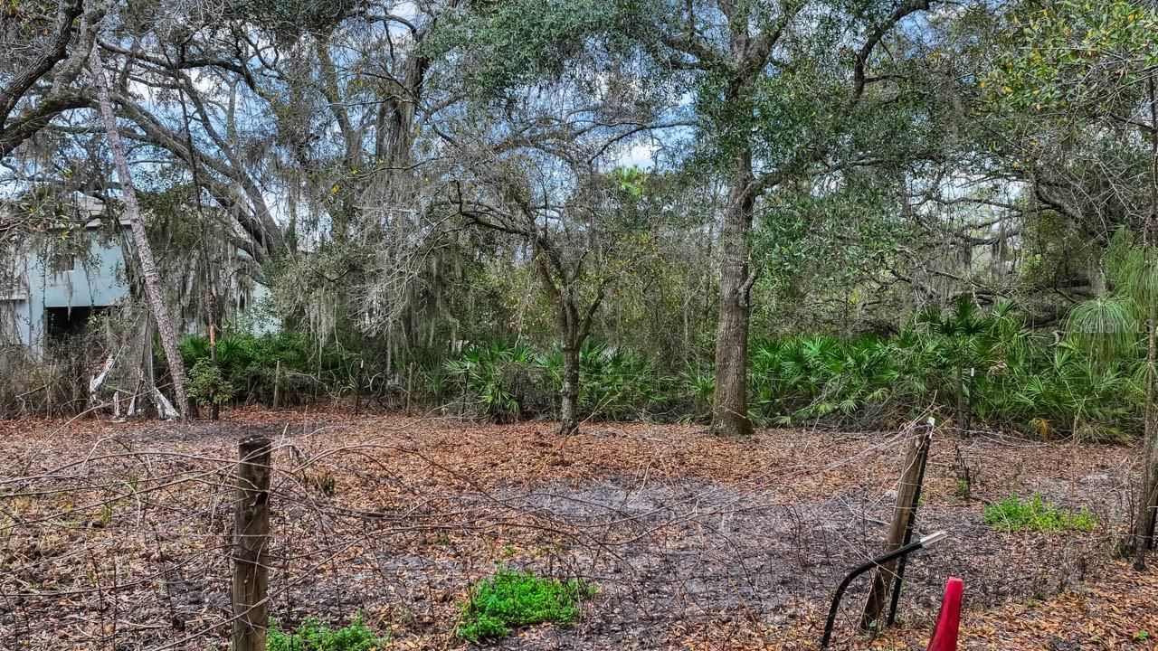 12730 Bullfrog Creek Road, Gibsonton, FL 33534 Photo