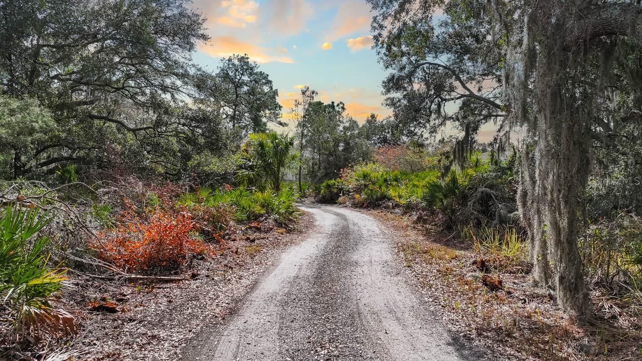 12730 Bullfrog Creek Road, Gibsonton, FL 33534 Photo