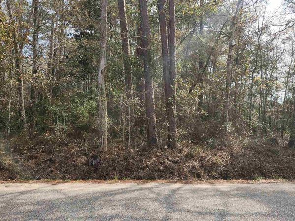 Pearson Rd, Milton, FL 32570