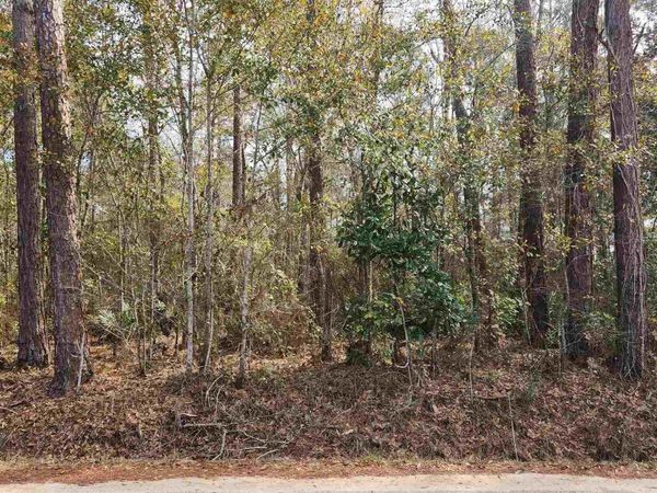 Pearson Rd, Milton, FL 32570