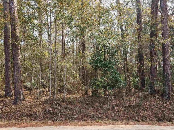 Pearson Rd, Milton, FL 32570