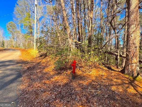 0 Horse Cove Court, Jasper, GA 30143