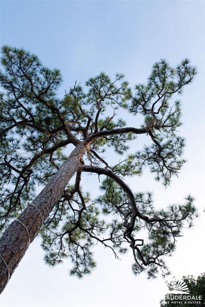 505 SE 16th St , Fort Lauderdale, FL 33316 Photo