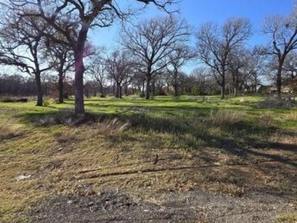 322 Arbor Cove Lane, Oak Point, TX 75068