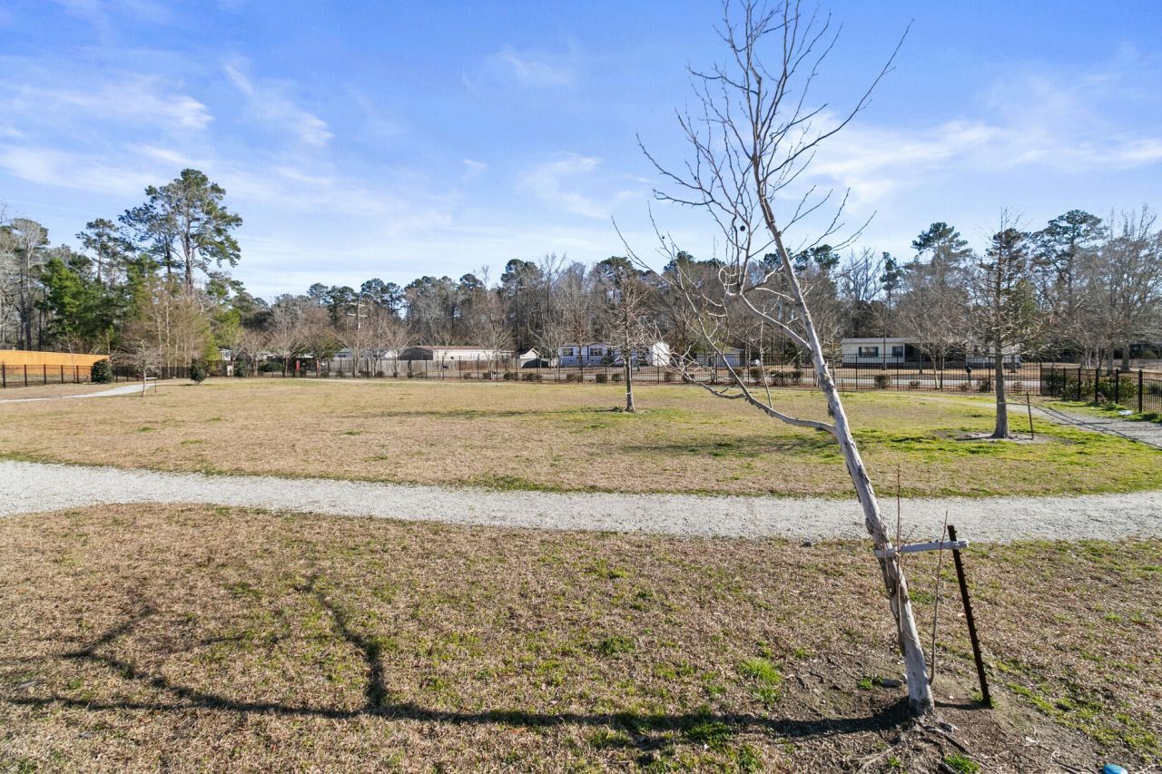 511 Green Fern Drive Photo 38