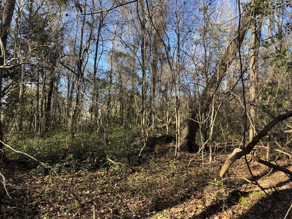 2135 Highway 646 Photo 4