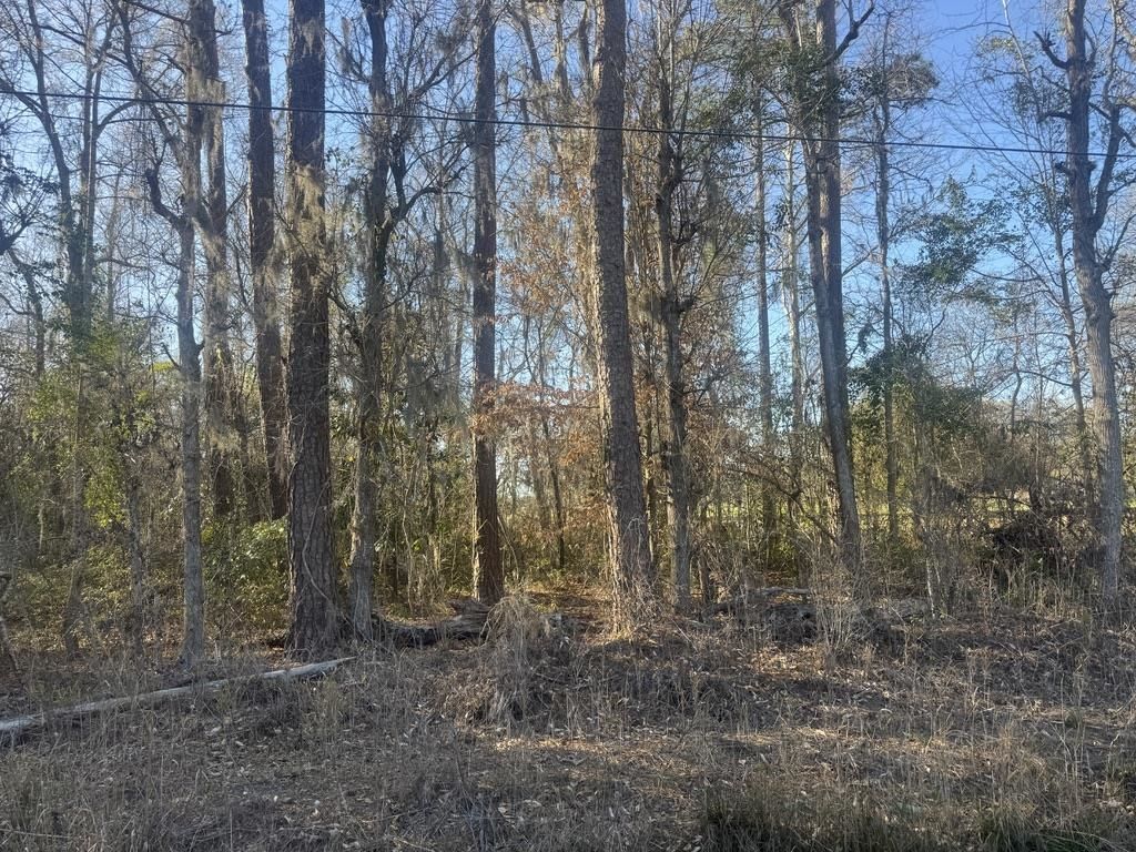 2135 Highway 646 Photo 5