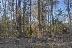 2135 Highway 646 photo 4