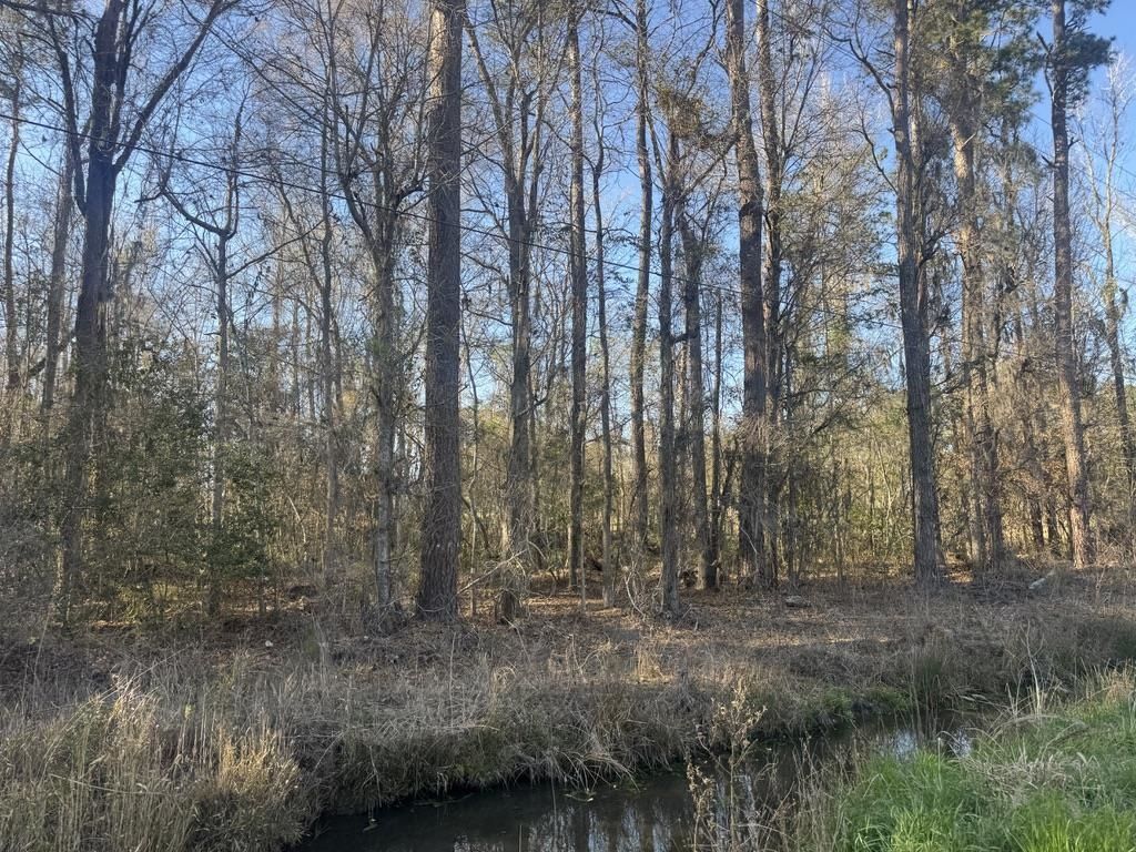 2135 Highway 646 Photo 6