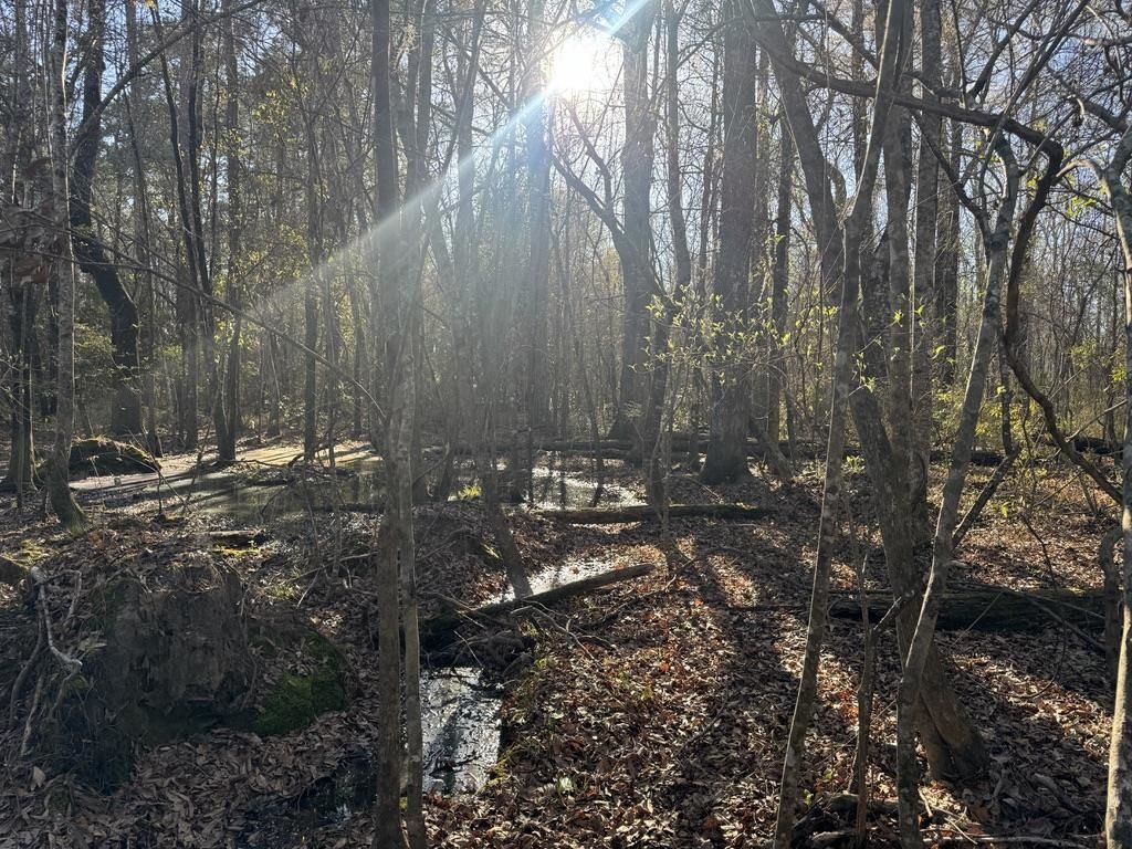 2135 Highway 646 Photo 7