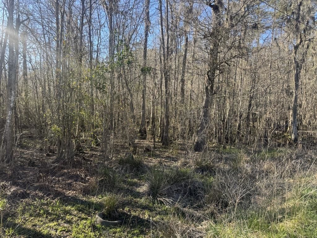 2135 Highway 646 Photo 8