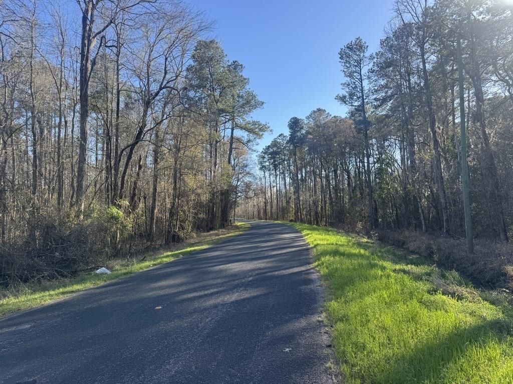 2135 Highway 646 Photo 9