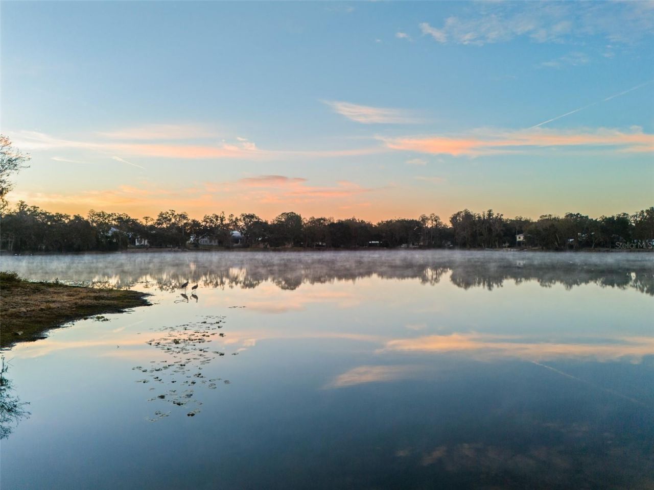 16429 Indian Mound Road, Tampa, FL 33613 Photo