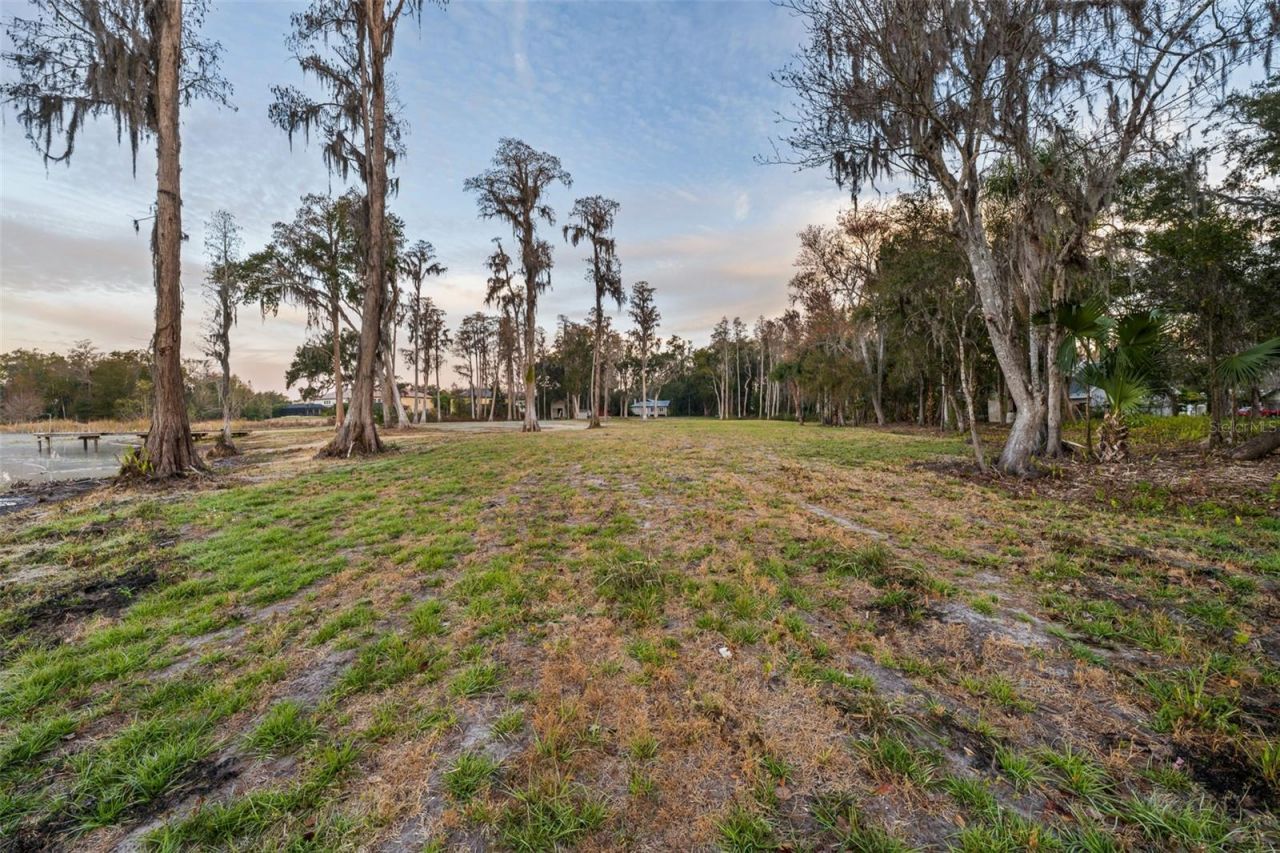 16429 Indian Mound Road, Tampa, FL 33613 Photo