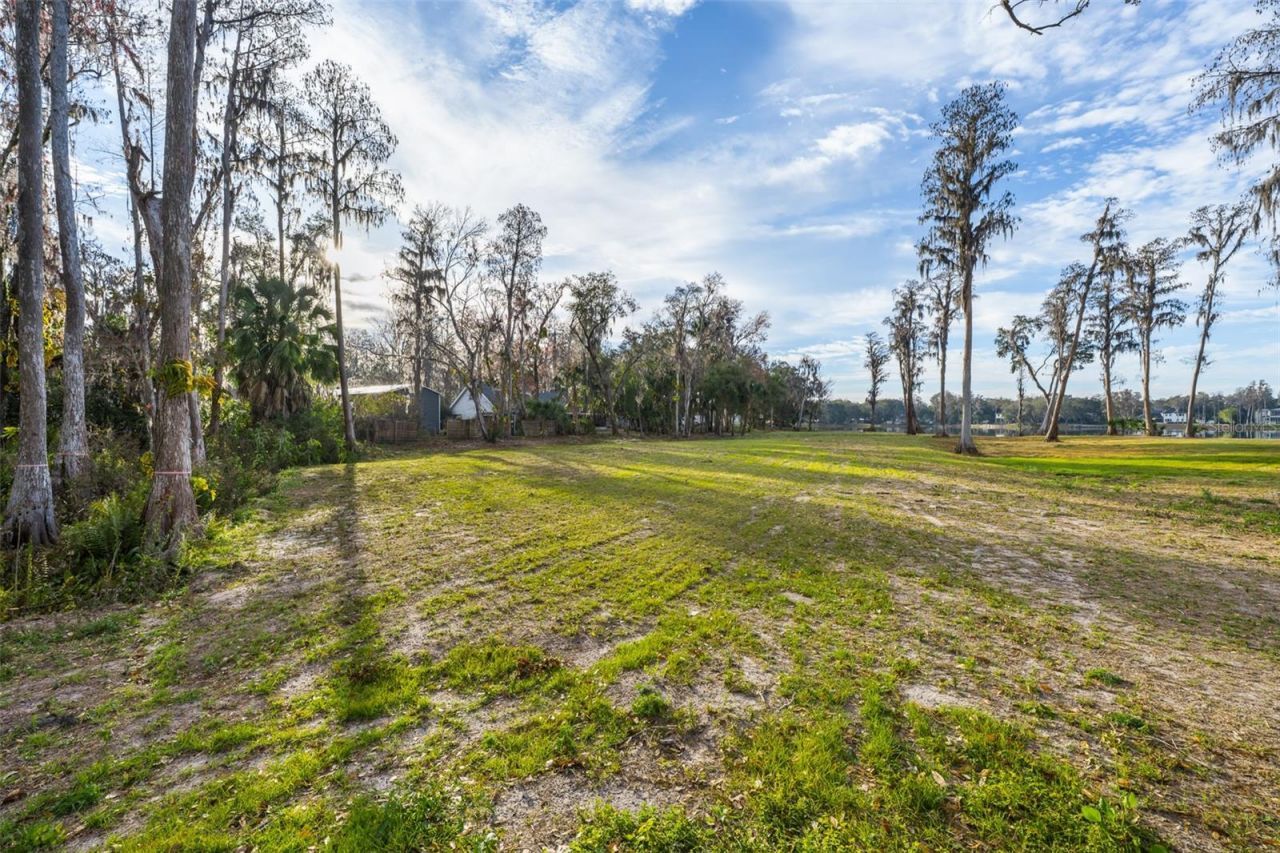 16429 Indian Mound Road, Tampa, FL 33613 Photo