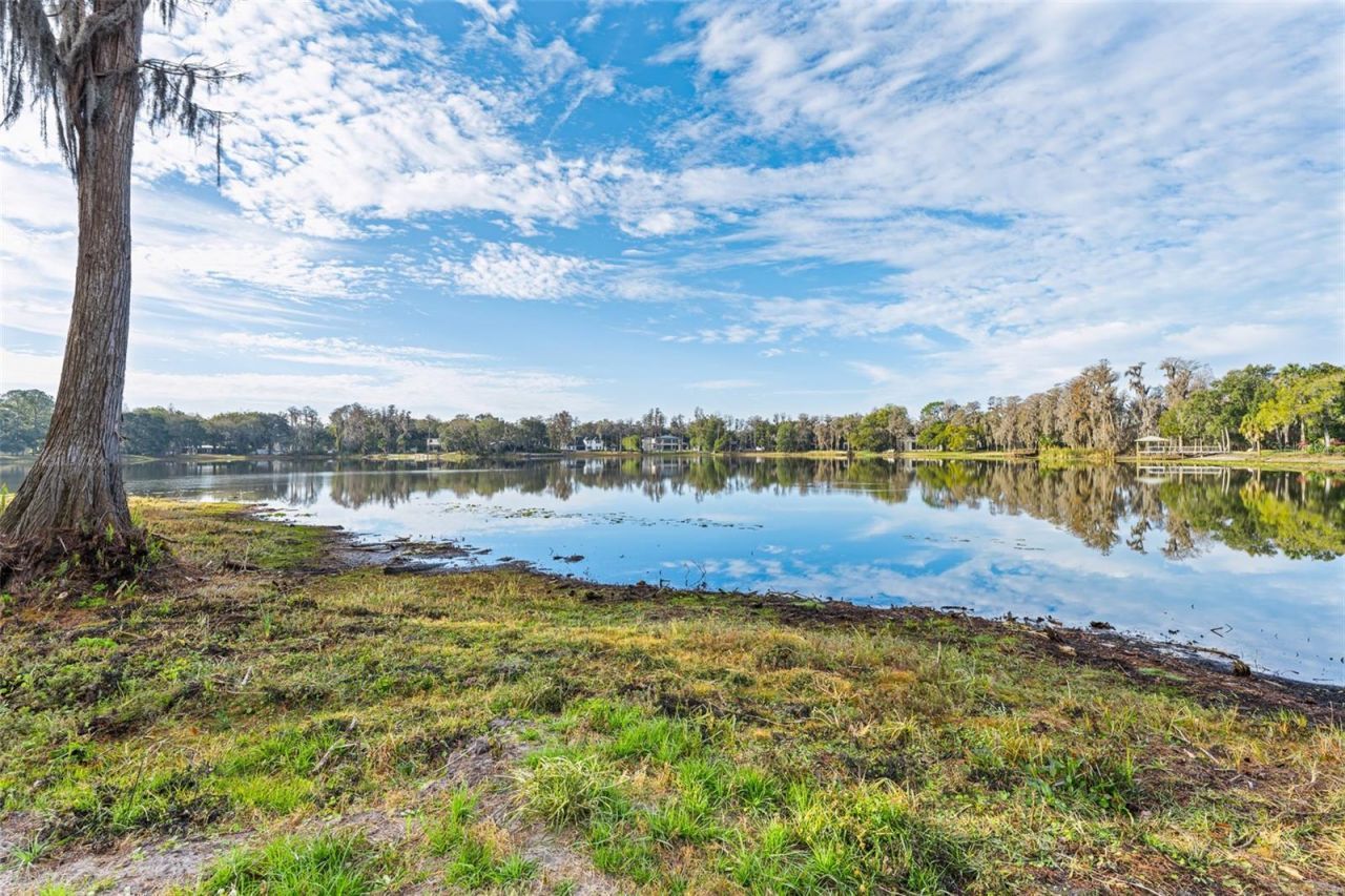 16429 Indian Mound Road, Tampa, FL 33613 Photo