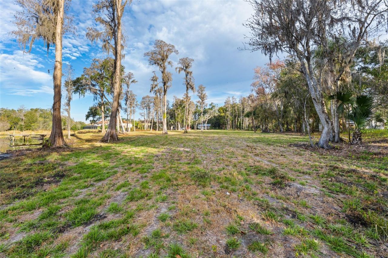 16429 Indian Mound Road, Tampa, FL 33613 Photo