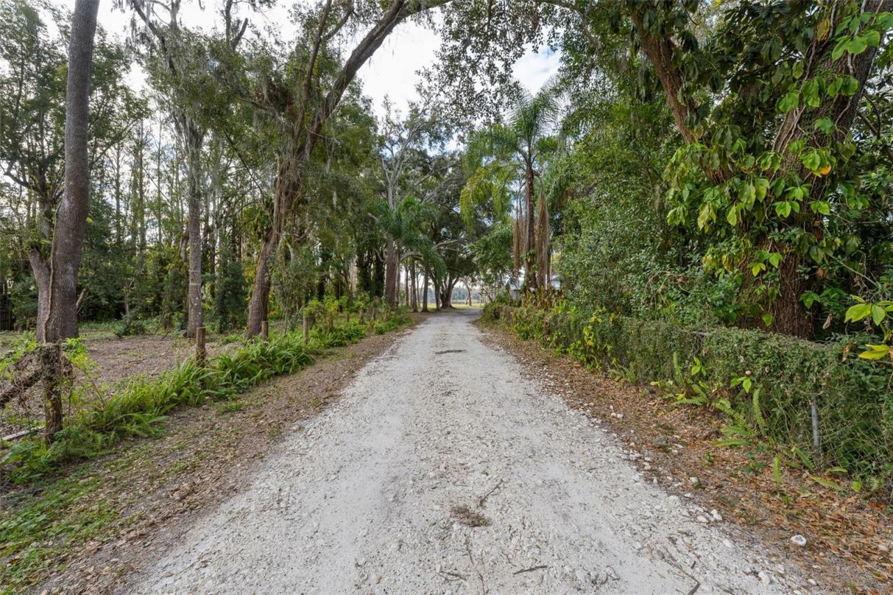 16429 Indian Mound Road, Tampa, FL 33613 Photo