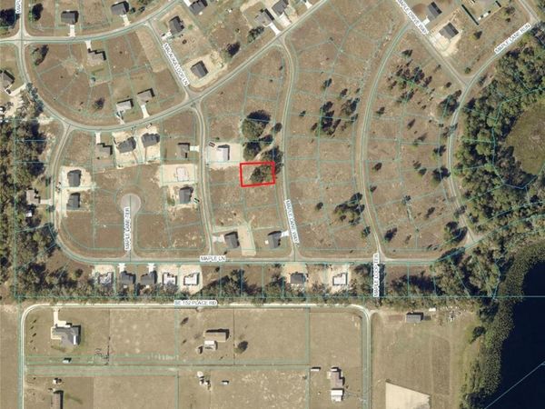 MAPLE LANE WAY, OCKLAWAHA, FL 32179