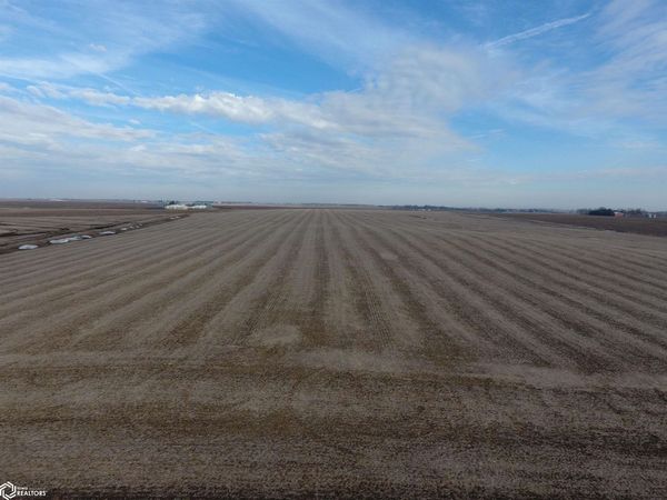 79 acres 230th Street, Allison, IA 50602