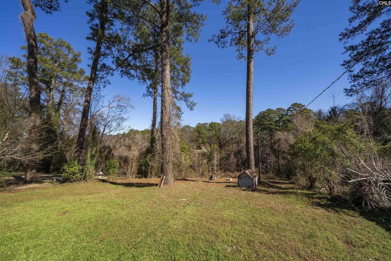 5424 Knoll Road Photo 19