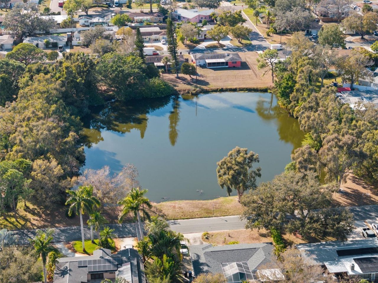 6800 16th Street N, Saint Petersburg, FL 33702 Photo