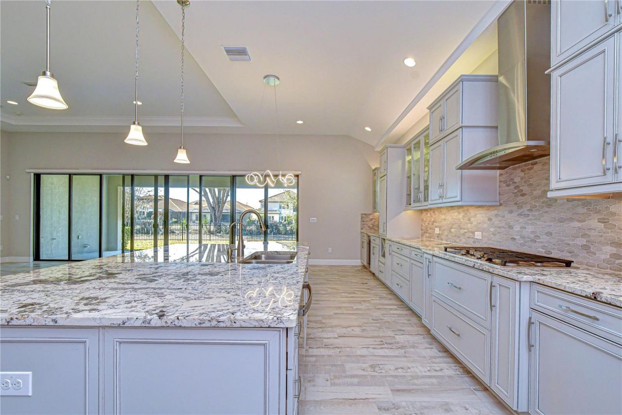 11339 Hawks Fern Drive, Riverview, FL 33569 Photo