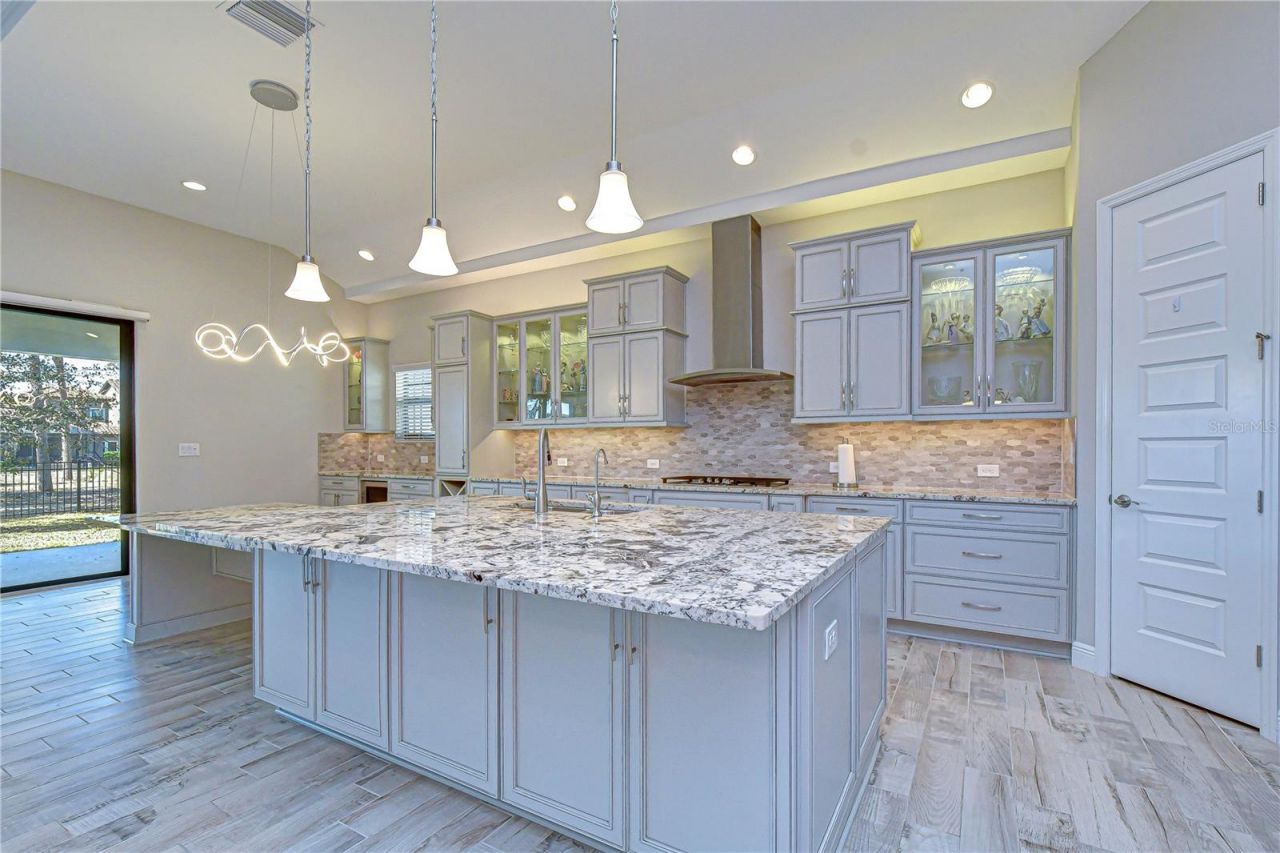 11339 Hawks Fern Drive, Riverview, FL 33569 Photo