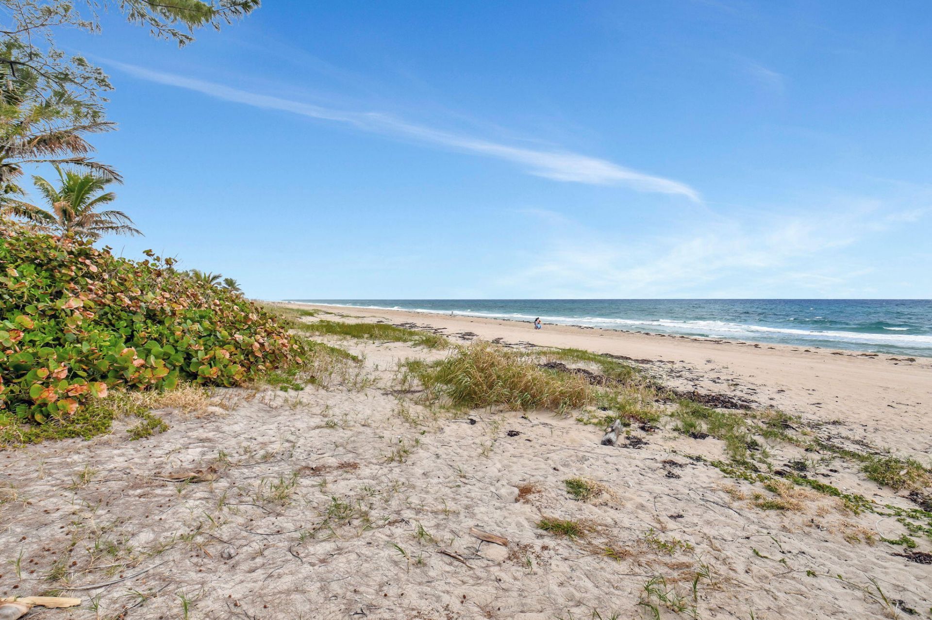 5015 Old Ocean Boulevard, Ocean Ridge, FL 33435 Photo