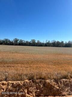 5123 Elmore Road, Graceville, FL 32446 Photo