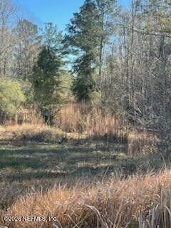 5123 Elmore Road, Graceville, FL 32446 Photo