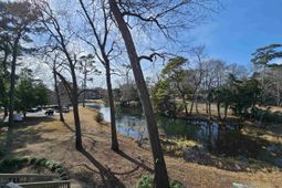 204 Baslow Ct. photo 4