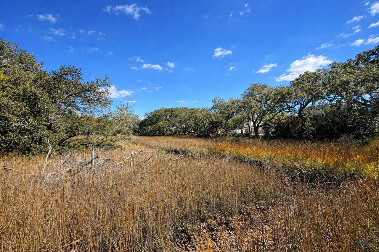 867 Colony Drive Photo 22