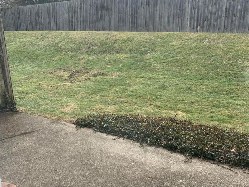 7752 Montgomery Road, Sycamore Township, OH 45236 Photo 14