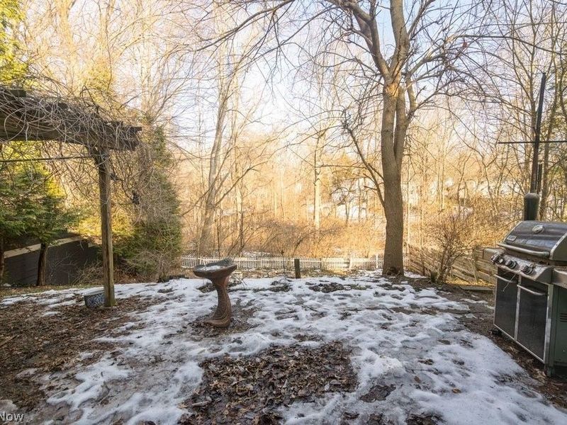 725 N Hawkins Avenue, Akron, OH 44313 Photo 7