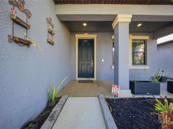 13917 ROSEATE TERN LANE, RIVERVIEW, FL 33579