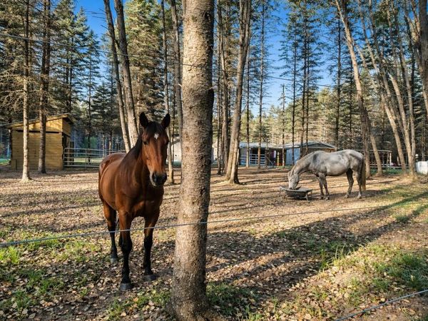 134 Menominee Trail, Buckley, MI 49620