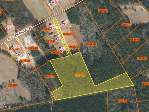 13 Sequoia Lane, Lake Waccamaw, NC 28450