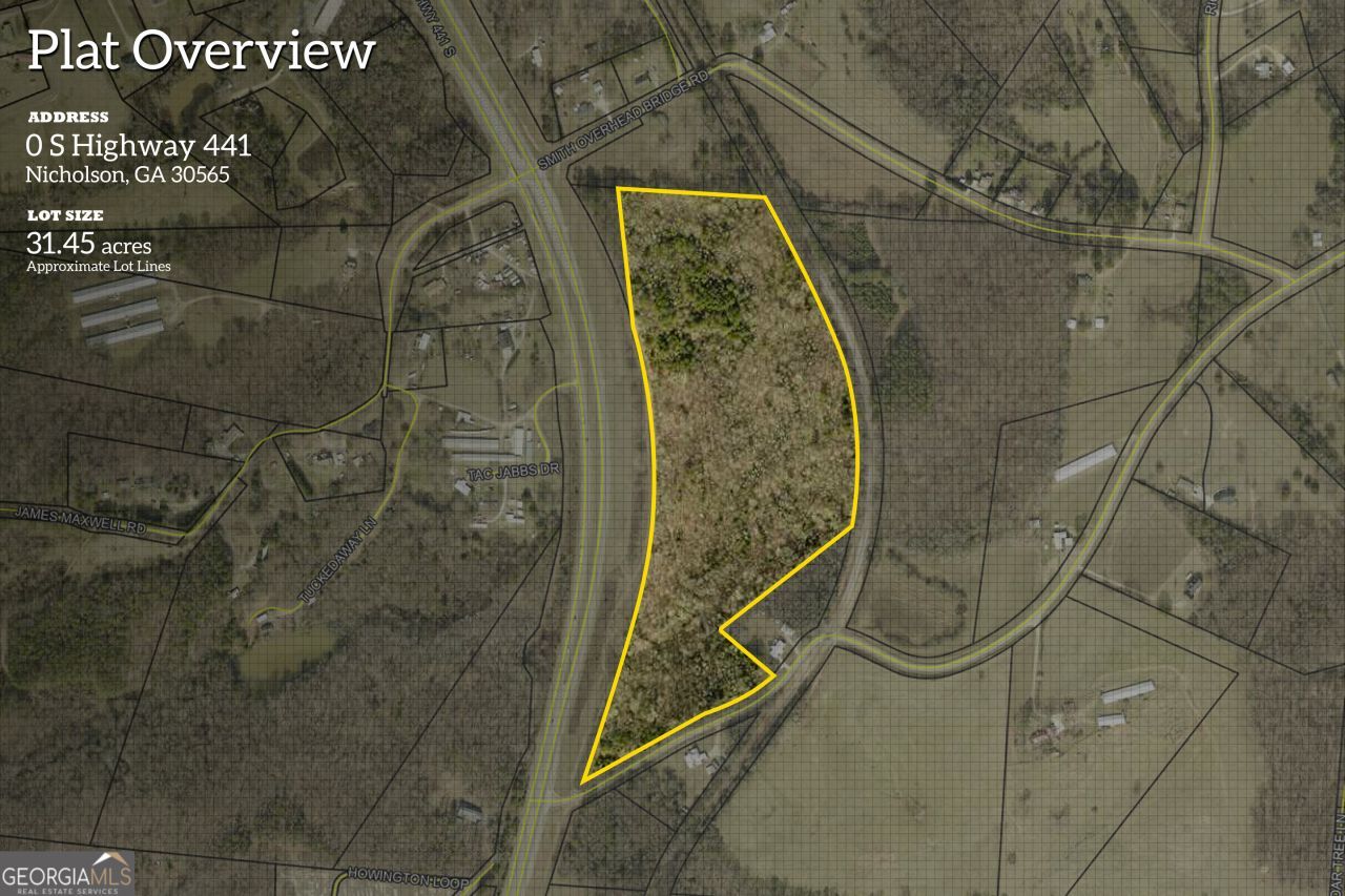 0 S Highway 441, Nicholson, GA 30565 Main Photo