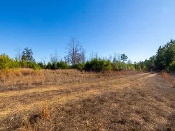 0 White Oak Rd, Stewart, TN 37175