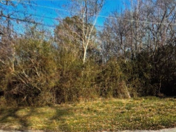 1712 Sockwell Ave, Russellville, AL