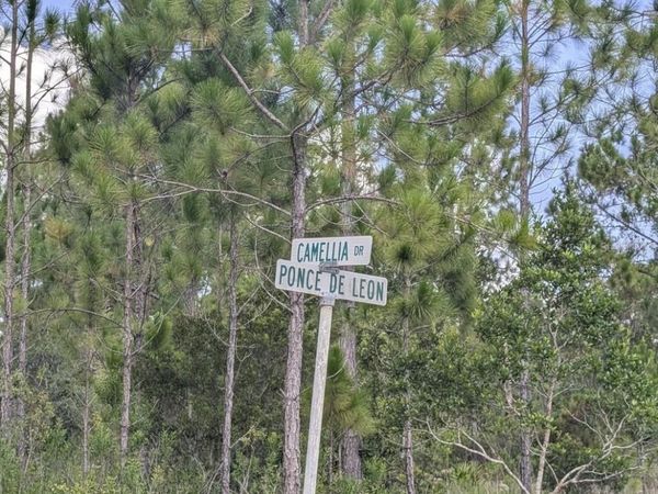 401 CAMELLIA DRIVE, INDIAN LAKE ESTATES, FL 33855