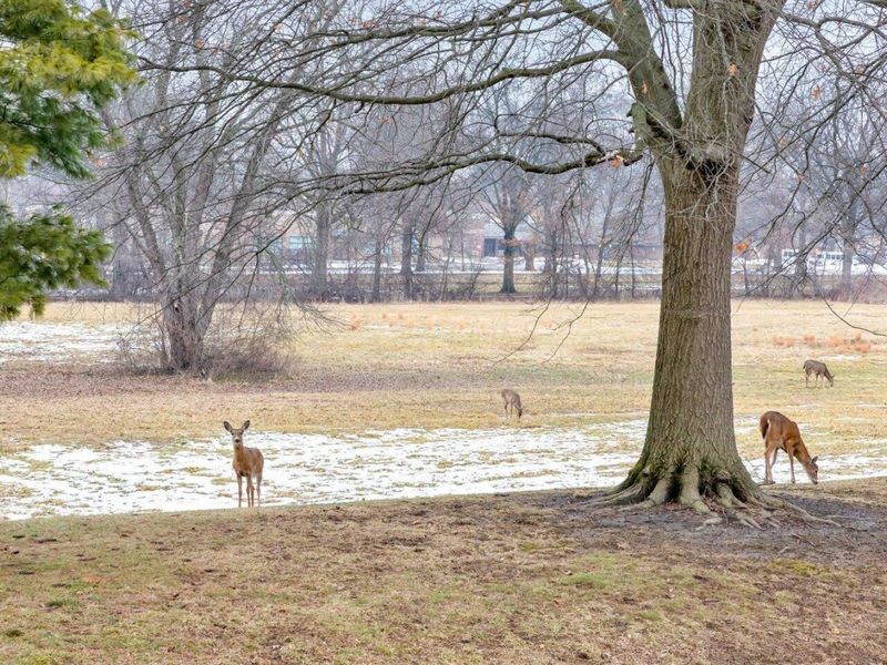 3967 Karl Road , Unit 224, Columbus, OH 43224 Photo 26