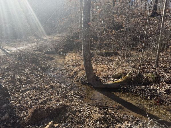 240 Golden View Ln, Hampshire, TN 38461