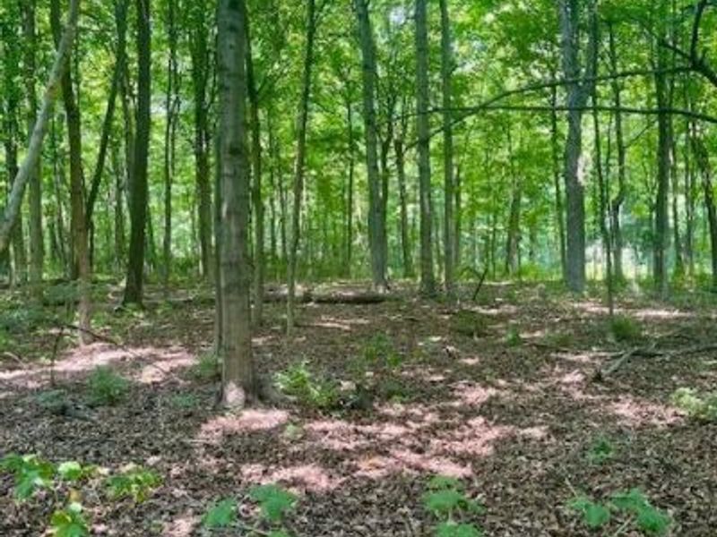 8469 McCulley Lane, Blanchester, OH 45107 Photo 10