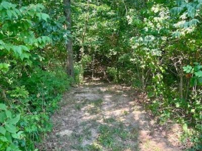 8469 McCulley Lane, Blanchester, OH 45107 Photo 11