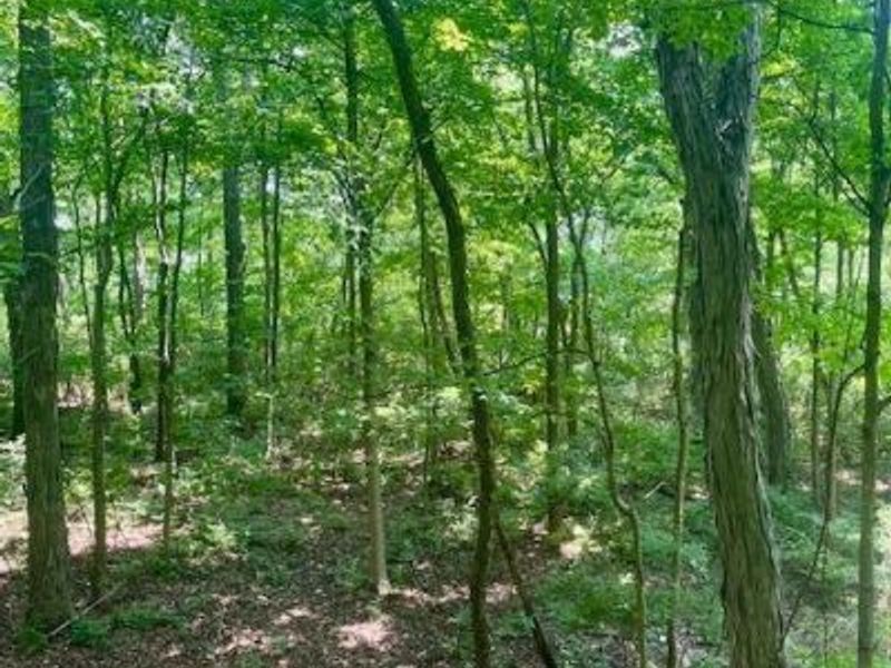 8469 McCulley Lane, Blanchester, OH 45107 Photo 12