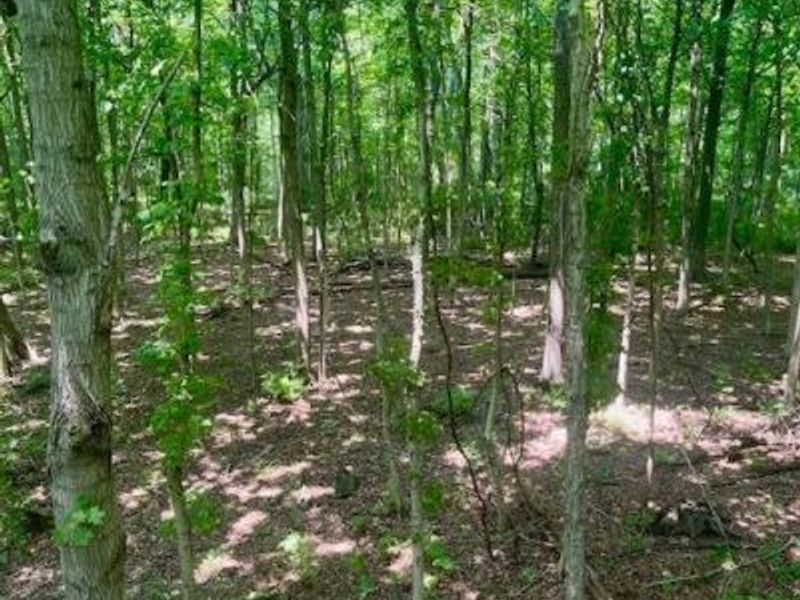 8469 McCulley Lane, Blanchester, OH 45107 Photo 13