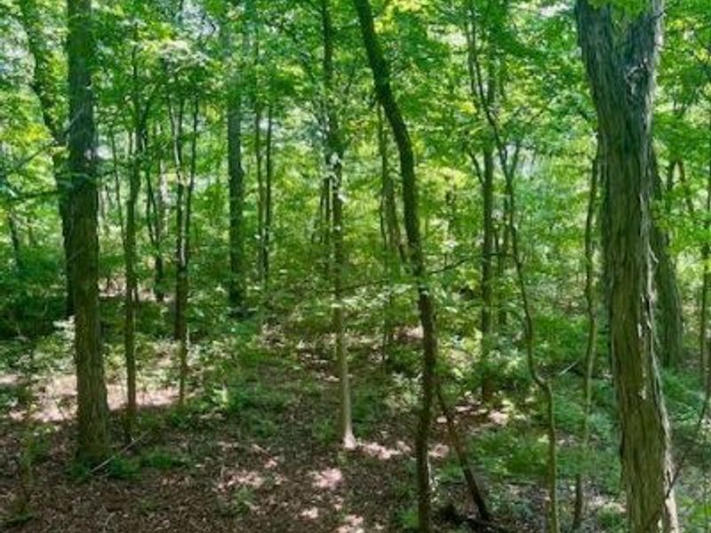 8469 McCulley Lane, Blanchester, OH 45107 Photo 14