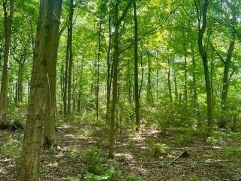 8469 McCulley Lane, Blanchester, OH 45107 Photo 15